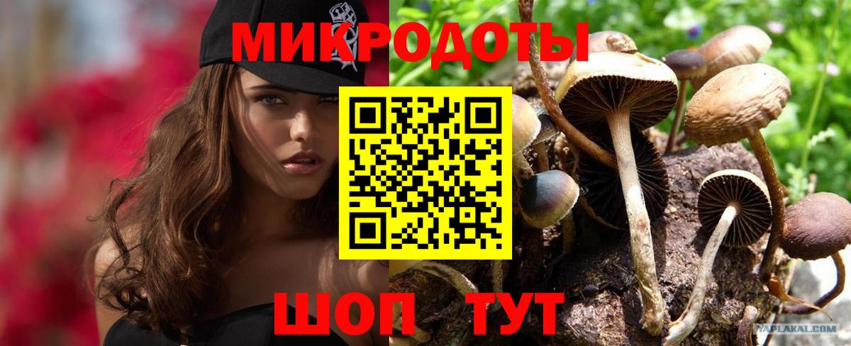 Галлюциногенные грибы MAGIC MUSHROOMS  наркотики  Псилоцибиновые грибы Cubensis  Переславль-Залесский  Вход с VPN 