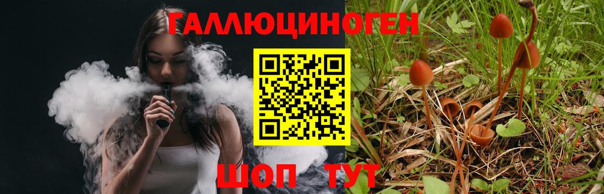 Псилоцибиновые грибы MAGIC MUSHROOMS Переславль-Залесский